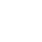 Home 21 icon 1